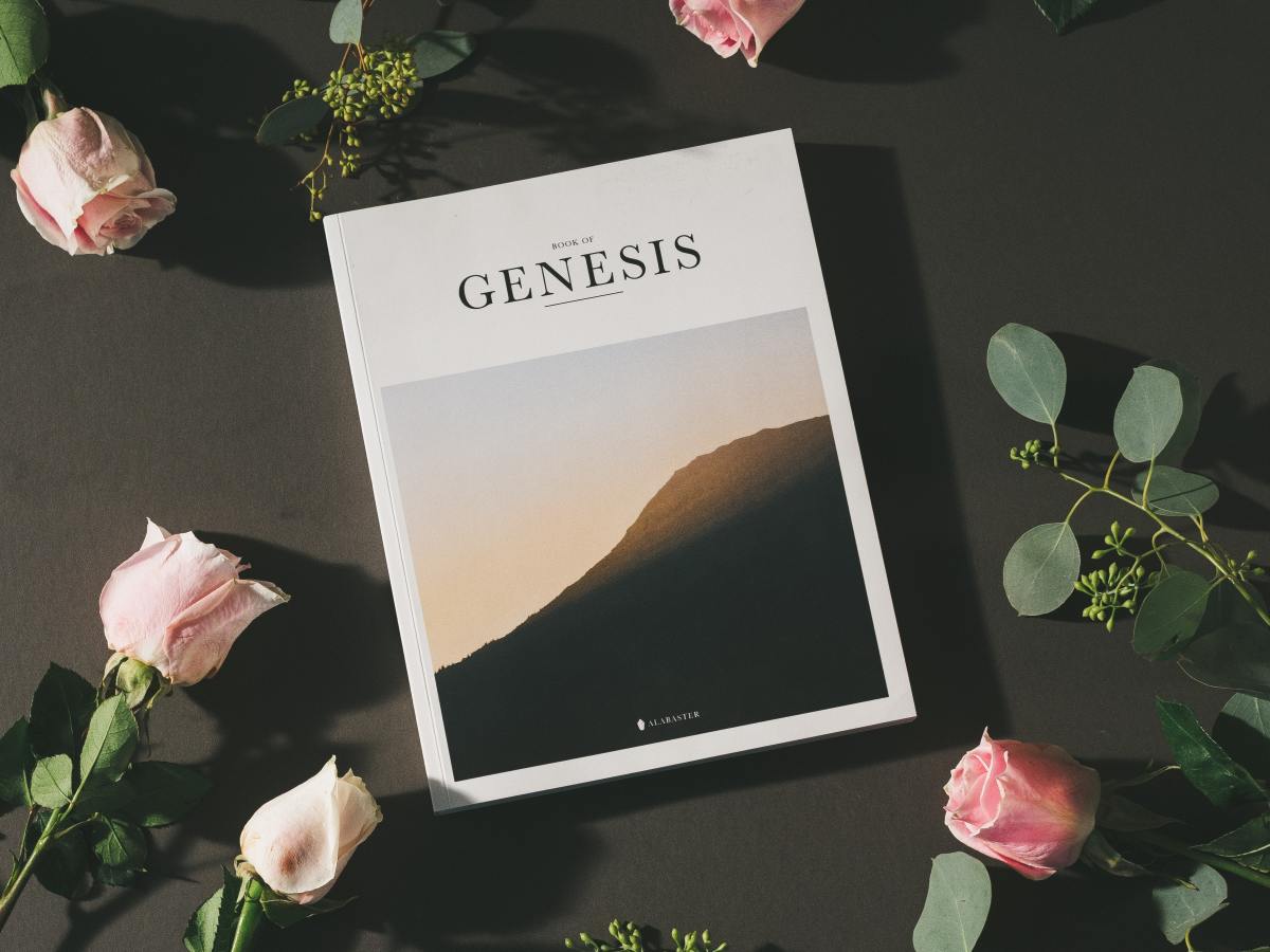 Book of Genesis: Biggest Questions (Part 5)