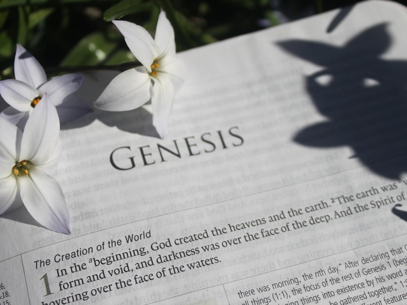 Book of Genesis: Biggest Questions  (Part 1)